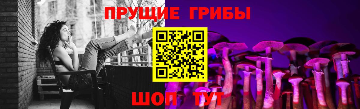 Междуреченск  цены   Галлюциногенные грибы прущие грибы  Вход с VPN  Галлюциногенные грибы Psilocybine cubensis 